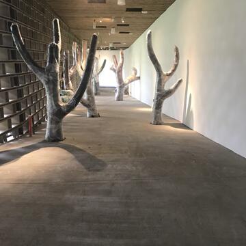 音樂人林強加入台中花博團隊 自然曲風詮釋后里園區生態精神