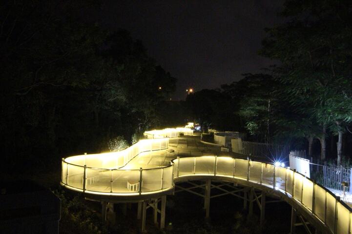 花博后里「花馬道」完工試燈 全長1.2公里延伸后豐鐵馬道