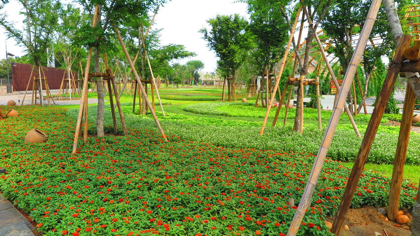 台中花博外埔園區花開了 迎接11/3開幕日