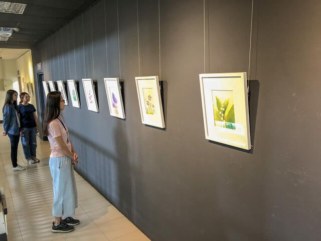 鐘麗琴水彩原畫展 台灣原生花卉原作加花卉詩文迎花博