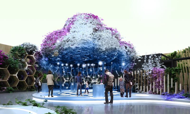 后里花舞館蘭花爭艷 訴說台灣蘭花王國故事