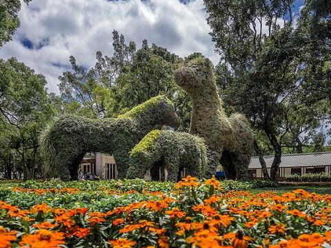 阿拉伯馬現蹤花博后里馬場園區 綠雕藝術生動吸睛