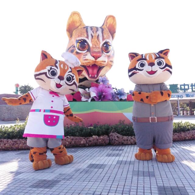 國慶花車網路人氣冠軍回來了！ 「石虎花車」11/3起花博外埔園區展出