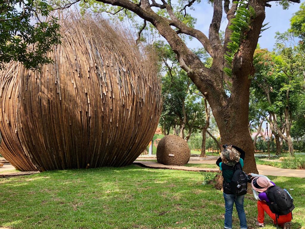 捕捉最美鏡頭 中市府邀攝影學會紀錄花博亮點
