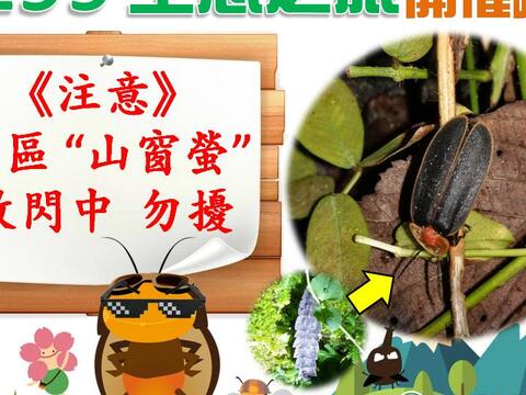 1299生態之旅-優惠介紹