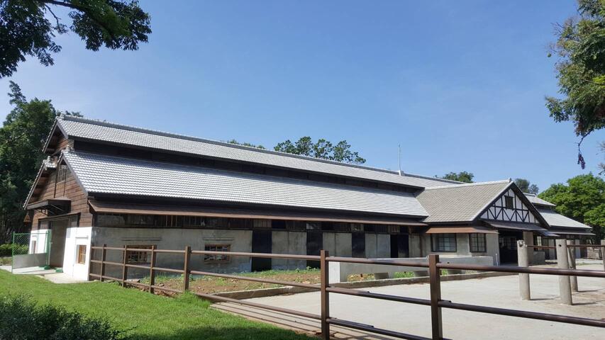 六大場館、兩大廊道 花博建設落地生根