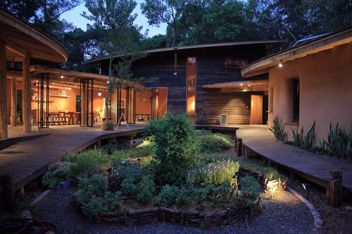 光與花的精采對話 台中花博夜間藝術光景獲好評