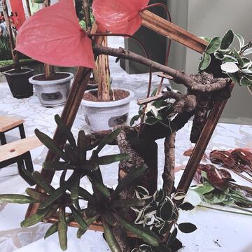 花博外埔園區智農館 火鶴特展即日登場