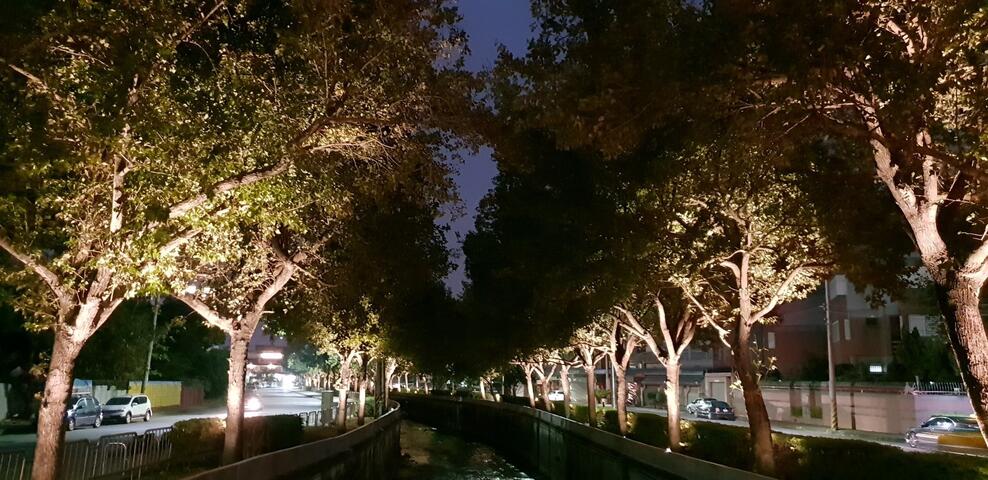 中市河岸新亮點 南屯溪楓林光廊完工點燈