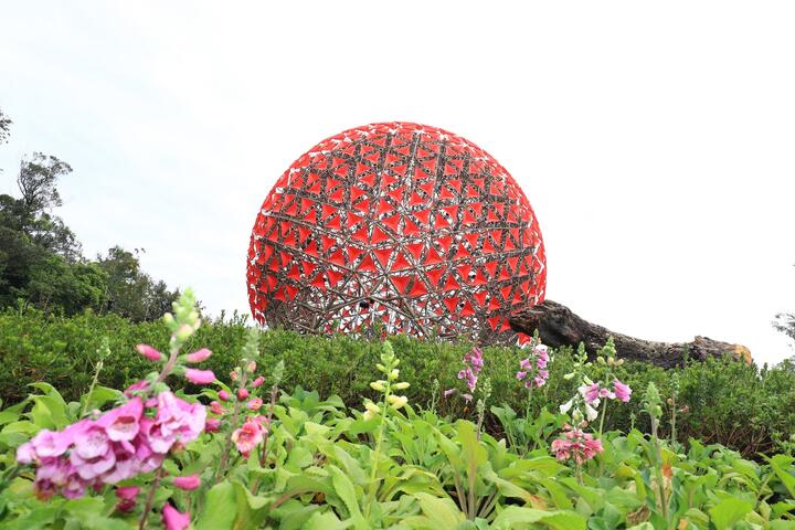 台中花博絕美打卡點 好玩又好拍