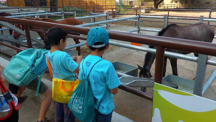 台中花博響應公益 邀弱勢團體免費逛馬場園區