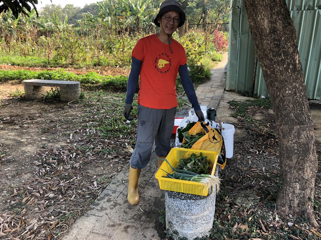 體驗農耕趣 中市府「環保農園」即日開放報名