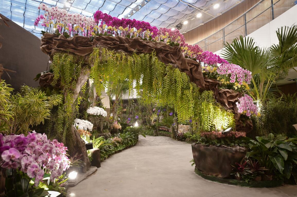 花博后里馬場園區花舞館換檔佈展 蘭花廳正常開放