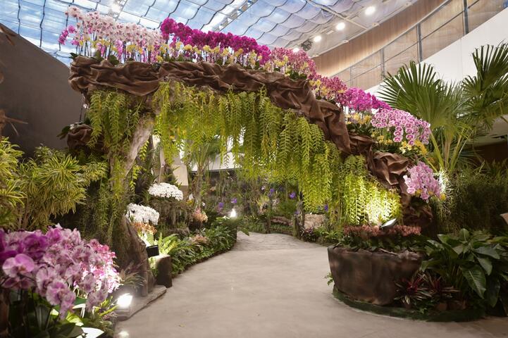 花博后里馬場園區花舞館換檔佈展 蘭花廳正常開放