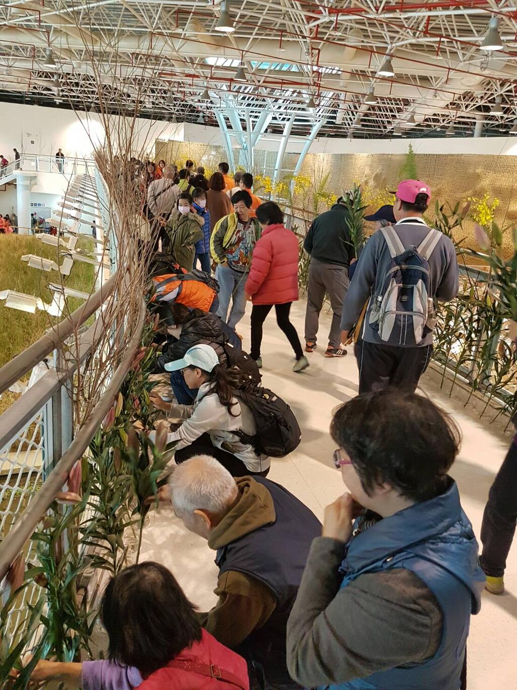 花博外埔園區「花の許願橋」 元月每周末邀民眾插花散播祝福