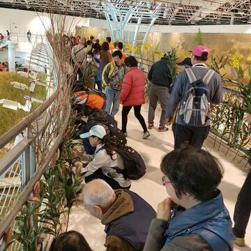 花博外埔園區「花の許願橋」 元月每周末邀民眾插花散播祝福