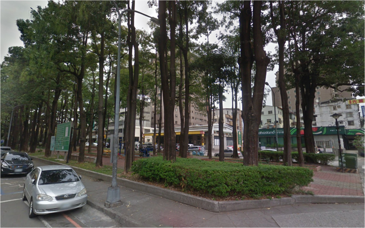 建構舒適人行空間 南區忠明園道百餘株黑板樹逐步移植