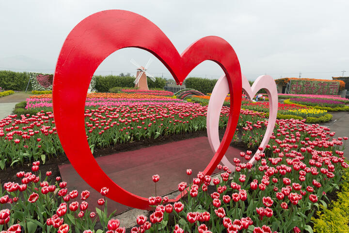 中社观光花市-心心相印