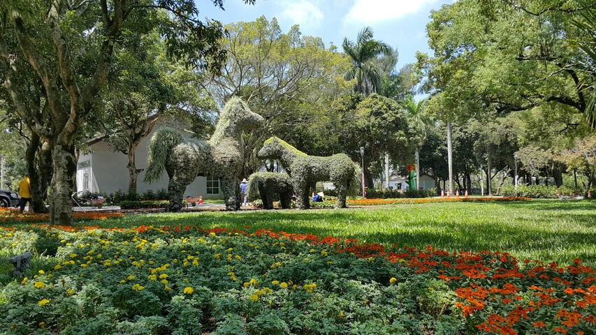 阿拉伯宝马绿雕