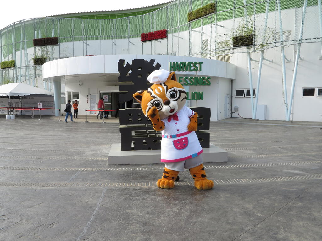 喜迎猪年逛花博 外埔园区春节活动玩不完