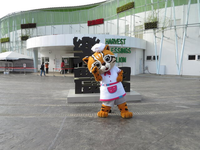 喜迎猪年逛花博 外埔园区春节活动玩不完