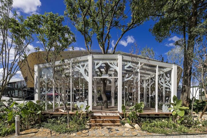 后里马场园区打造「花马乐园」 春节踏春热门打卡点