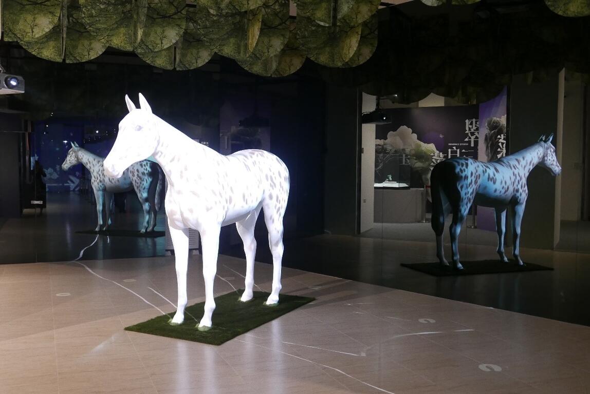 台中花博故宫花蝶馆科技美学新体验 欢迎阖家欣赏