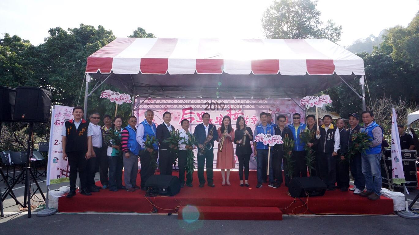 后里泰安櫻花季登場 中市府假日接駁專車便利遊客賞櫻