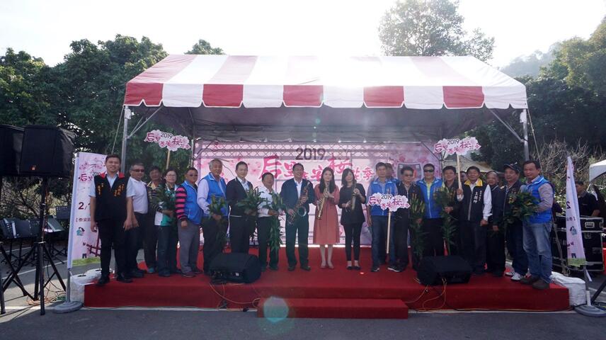 后里泰安櫻花季登場 中市府假日接駁專車便利遊客賞櫻