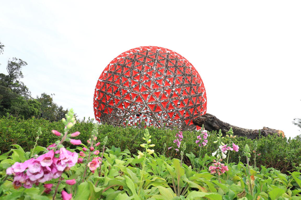 台中花博最後一个月 超夯打卡点别错过