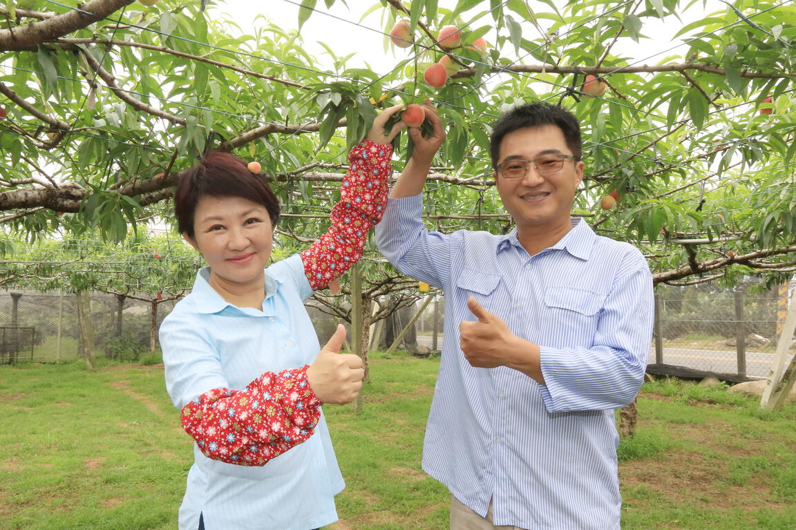 卢市长推广在地果园观光 邀民众体验新社风光