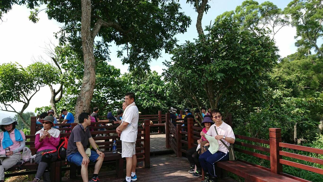 防治大坑登山步道荔枝椿象 中市府加强清除搭配施放平腹小蜂展良好成效