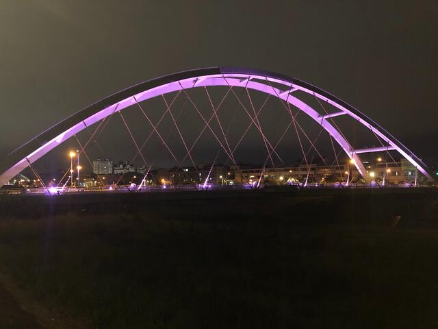 东区打卡新亮点 粉紫色东昇桥照亮夜空