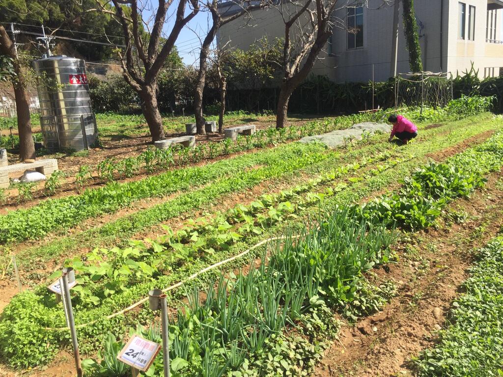 环保农园开放市民免费承租