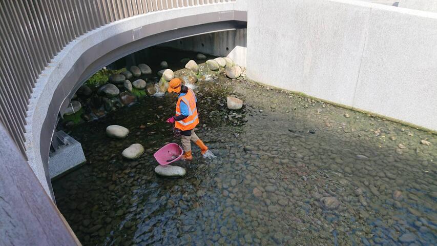 端午连假绿柳川加强环境维护