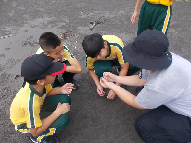 大安滨海乐园环境教育志工免费培训课程