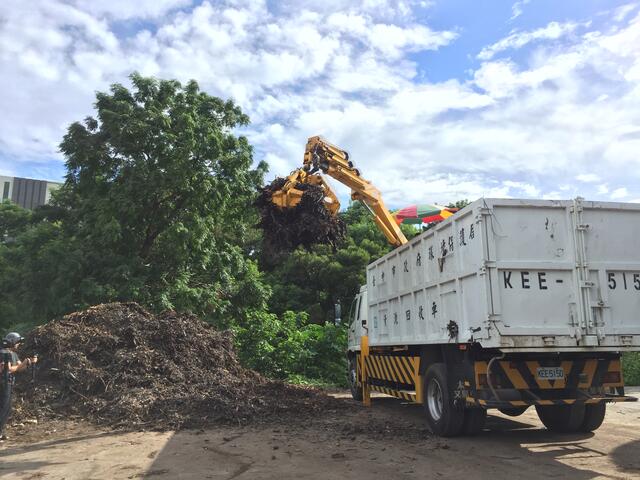 废树枝是园艺造景好帮手