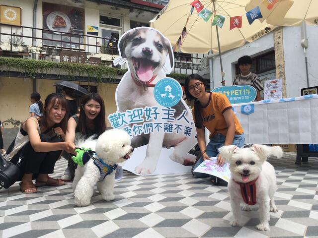 中市动保处审计新村设摊-民众与毛孩互动逗趣猜谜