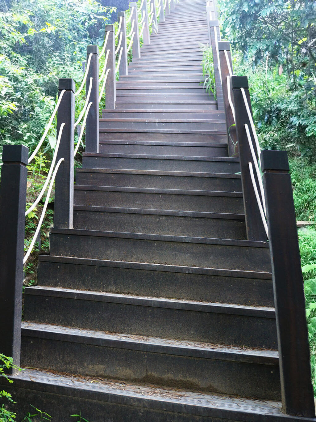 拆除後重新建置木栈道-示意图