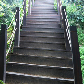 拆除後重新建置木栈道-示意图