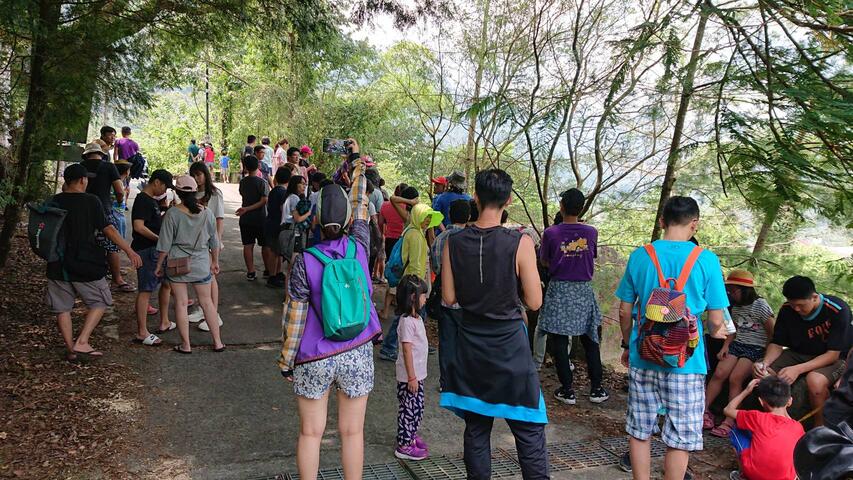 活动吸引大批民众参加