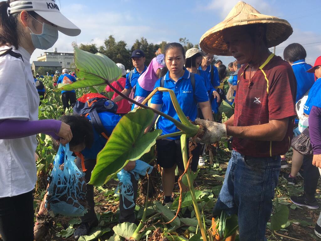 photo5-台中市政府农业局提供