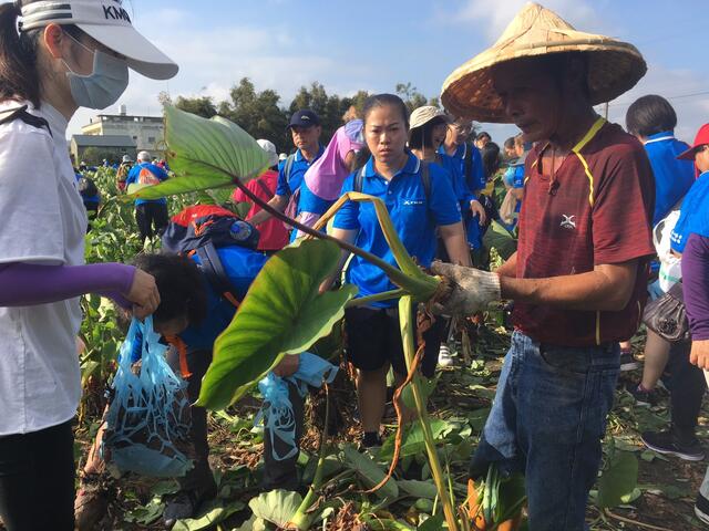 photo5-台中市政府农业局提供