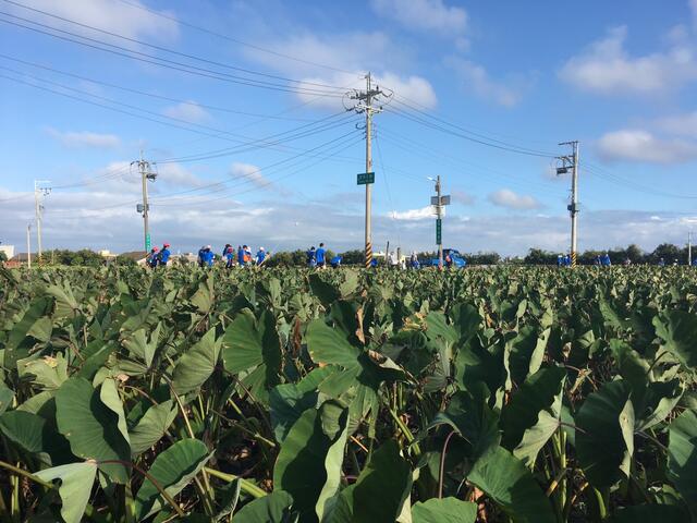 photo8-台中市政府农业局提供