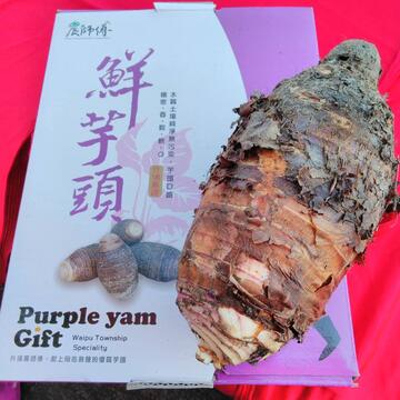 外埔區芋頭產業文化節photo3-農業局提供