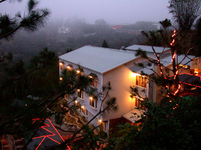 2019臺中國際花毯節