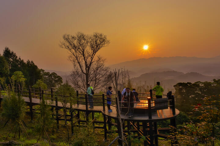 秋冬台中轻旅行-大坑新社行步道泡好汤-赏花海