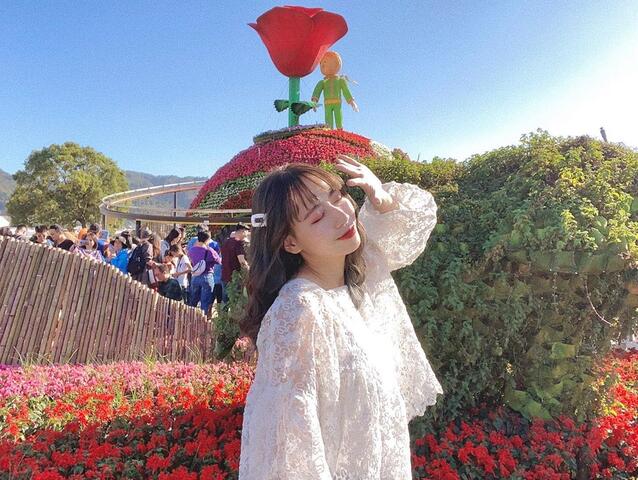 新社花海三合一参观人次破200万