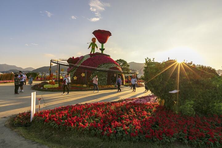 花海三合一破236万参观人潮