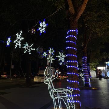 行道树装饰耶诞灯饰